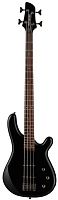 Fernandes G4X(08)BLK