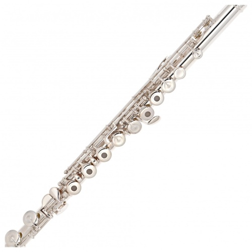 Pearl Flute Quantz PF-F665RBE фото 4